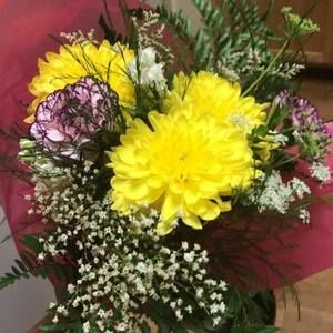 Meet your Posher, Josephine